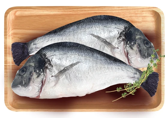 דג דניס שלם